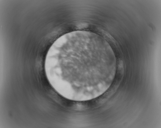 X0000113230565200910221041