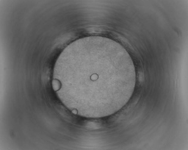 X0000113230567200910221041