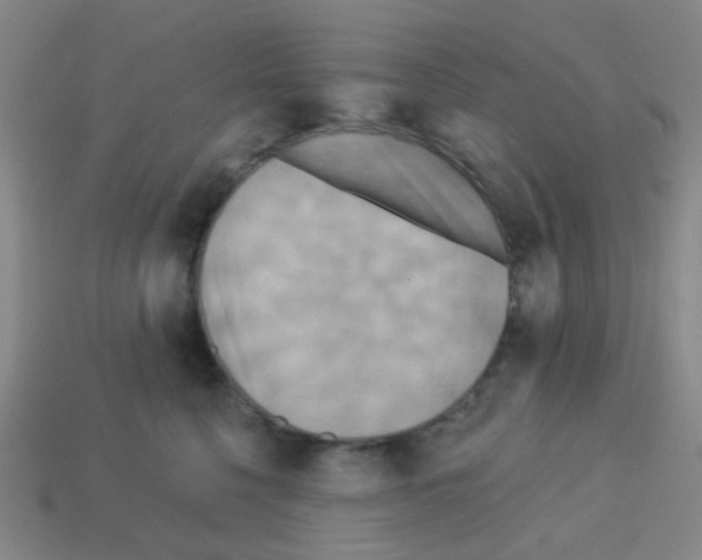 X0000113230568200910221041