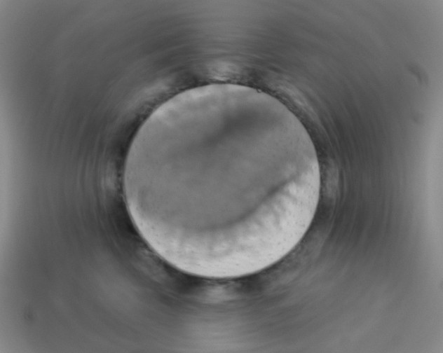 X0000113230569200910221041