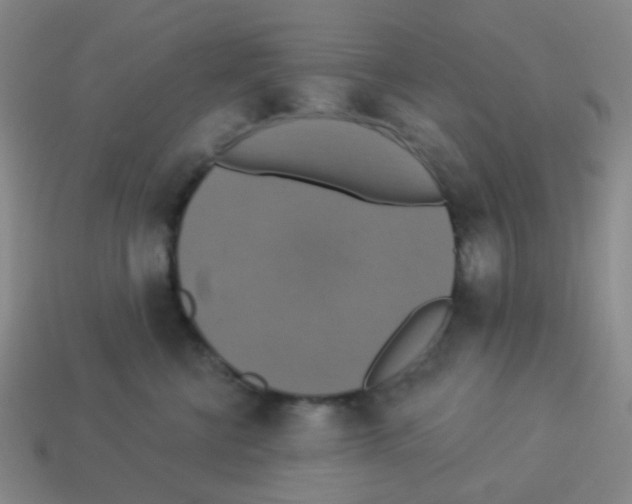 X0000113230570200910221041