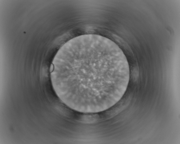 X0000113230571200910221041