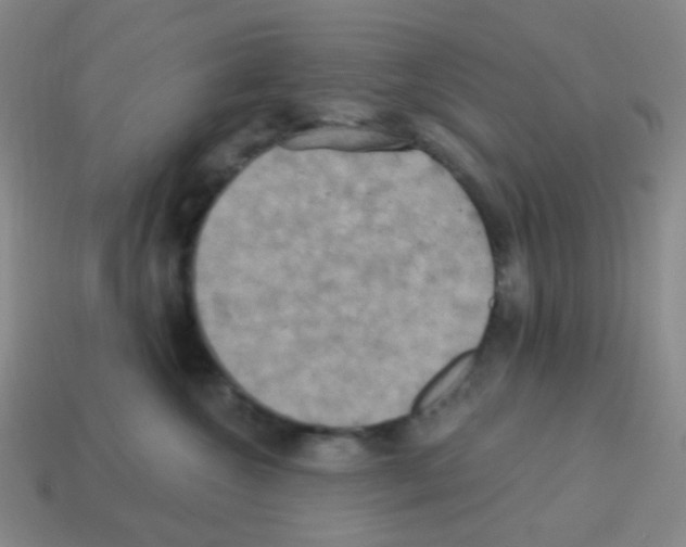 X0000113230572200910221041