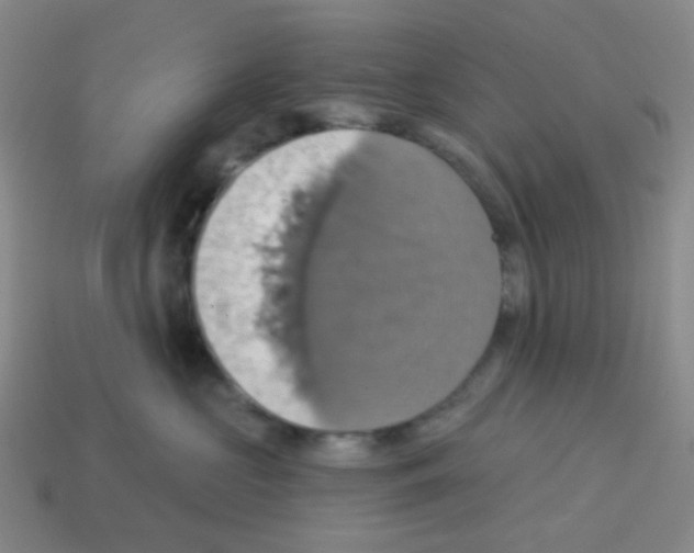 X0000113230573200910221041