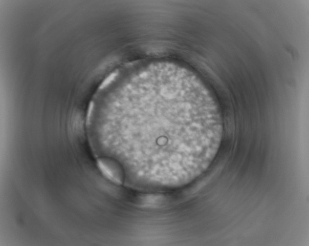 X0000113230575200910221041