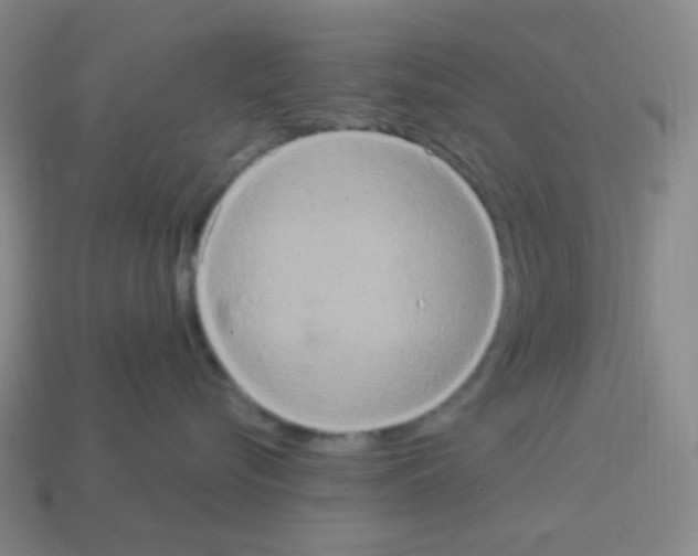 X0000113230576200910221042