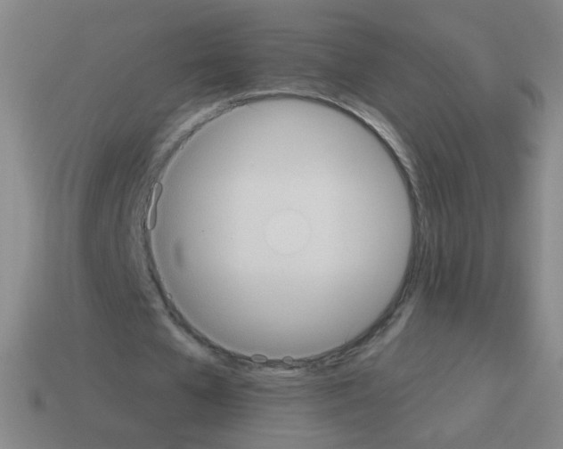 X0000113230577200910221041