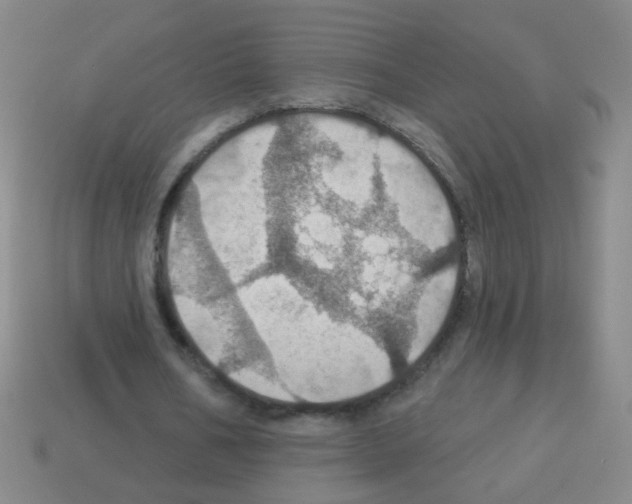 X0000113230578200910221041