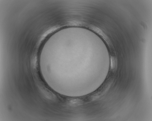 X0000113230579200910221041