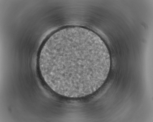 X0000113230580200910221041