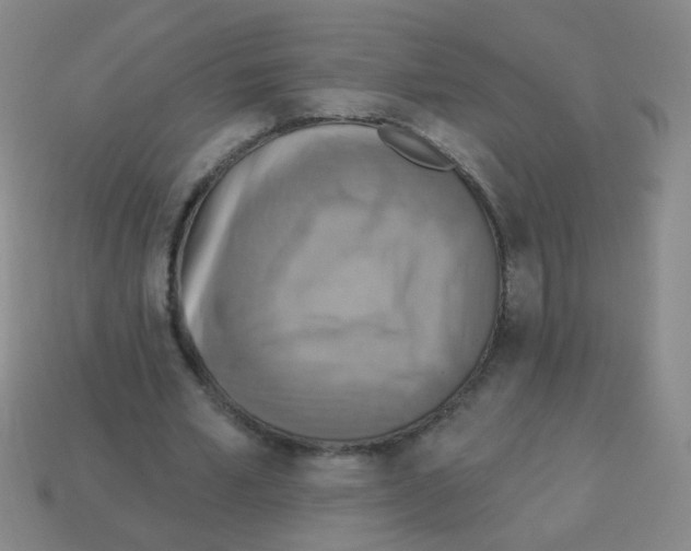 X0000113230581200910221041