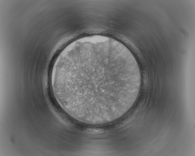 X0000113230582200910221041