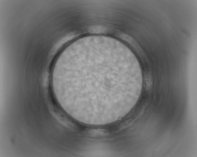 X0000113230583200910221041