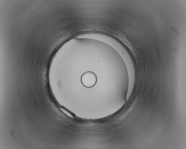 X0000113230585200910221041