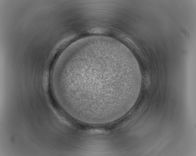 X0000113230586200910221041