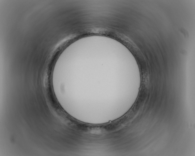 X0000113230587200910221041