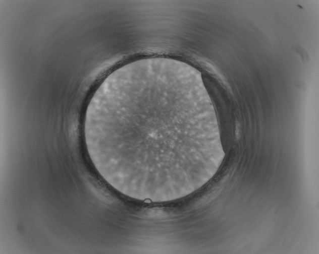 X0000113230588200910221041