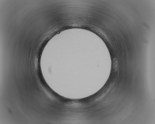 X0000113230589200910221041