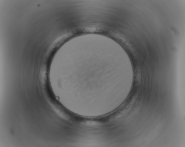 X0000113230590200910221041