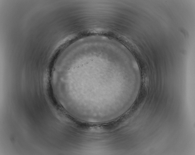 X0000113230591200910221041