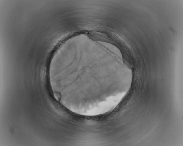 X0000113230592200910221041