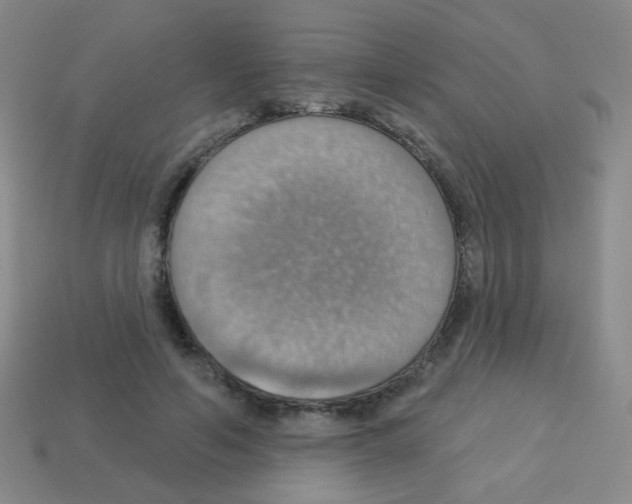 X0000113230594200910221041