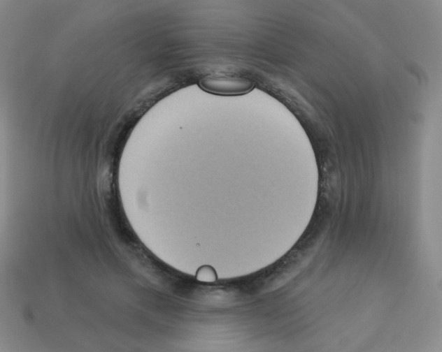 X0000113230597200910221041