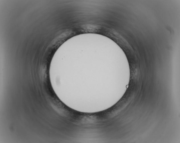 X0000113230599200910221041