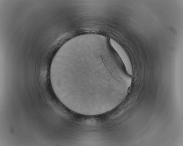 X0000113230600200910221041