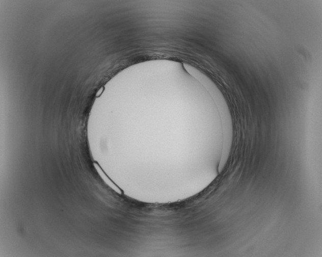 X0000113230601200910221041