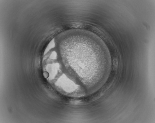 X0000113230602200910221041