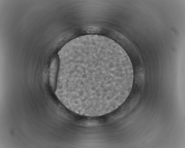 X0000113230604200910221041