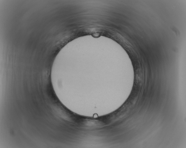 X0000113230605200910221041