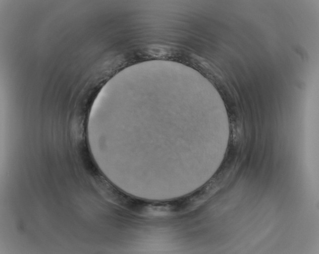 X0000113230606200910221041