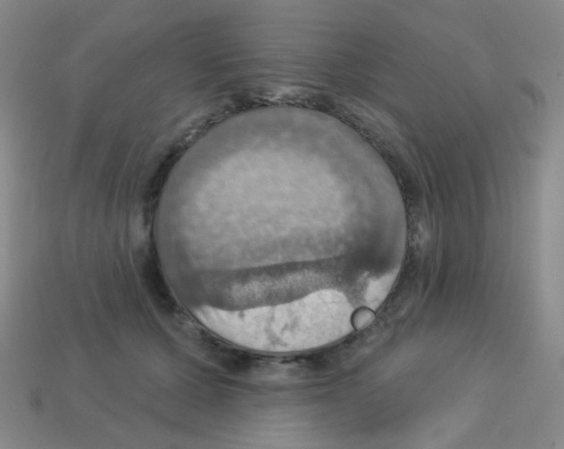 X0000113230607200910221041