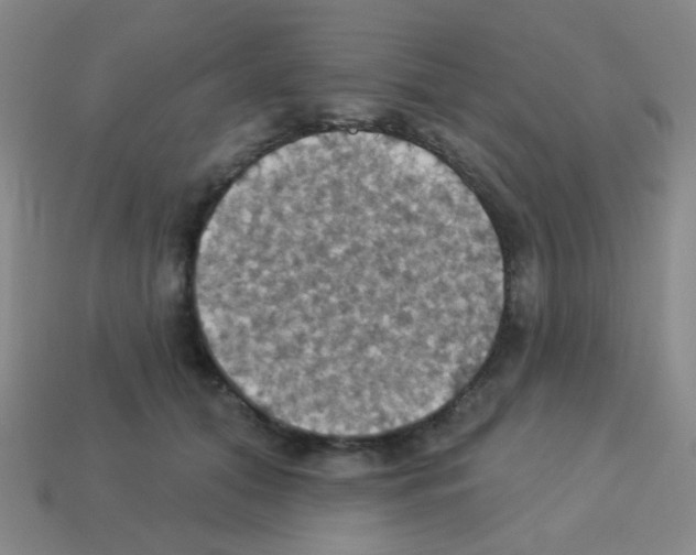 X0000113230608200910221040