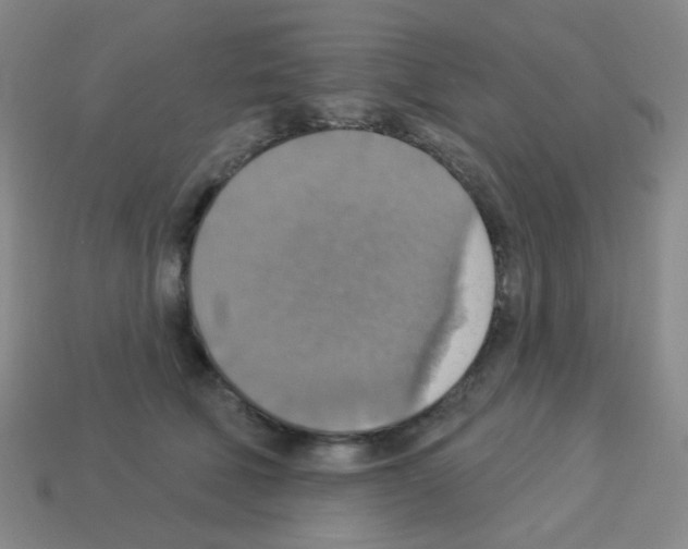 X0000113230610200910221040