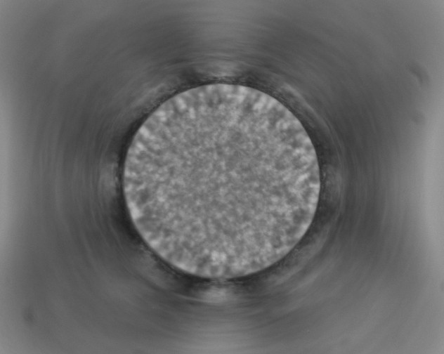 X0000113230612200910221040