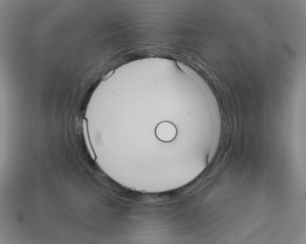 X0000113230613200910221040