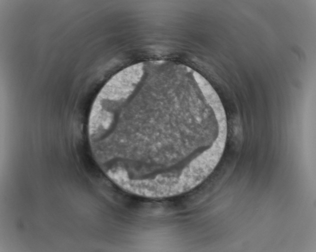 X0000113230615200910221040