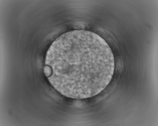 X0000113230616200910221040