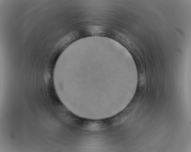 X0000113230618200910221040