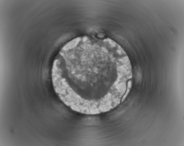 X0000113230619200910221040