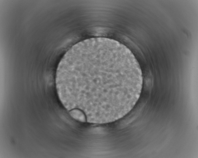 X0000113230620200910221040