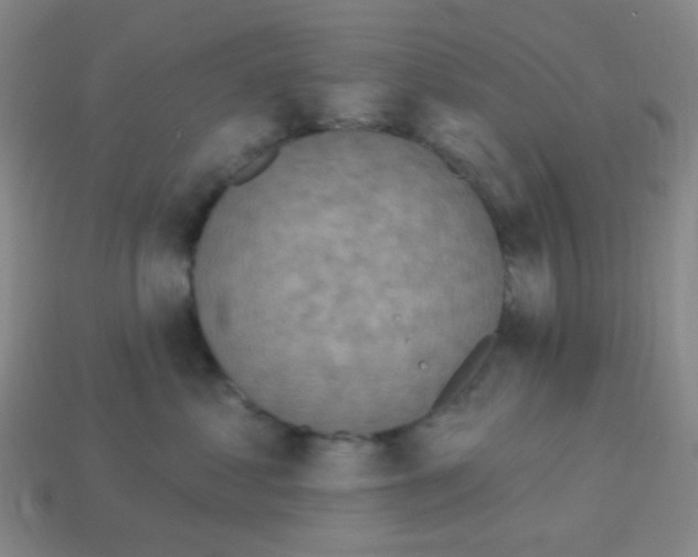 X0000113230621200910221040