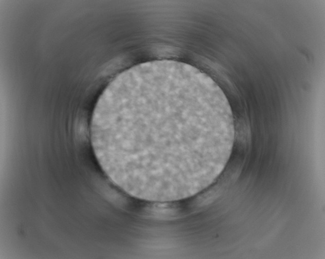 X0000113230622200910221040