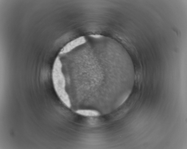 X0000113230623200910221040