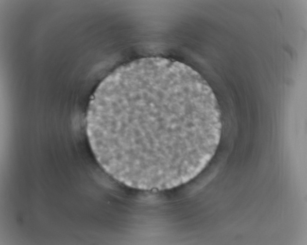 X0000113230624200910221040