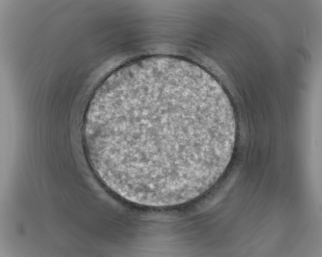 X0000113230625200910221040