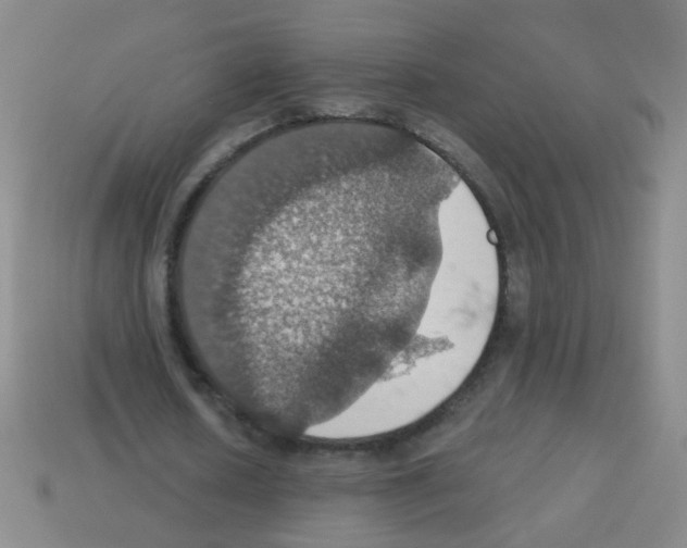 X0000113230626200910221040